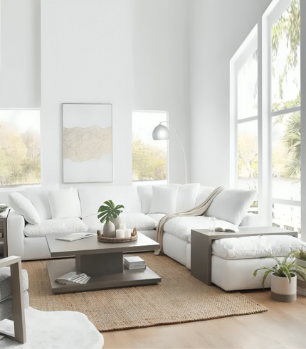 Modern Luxury Feathers Cloud Couch