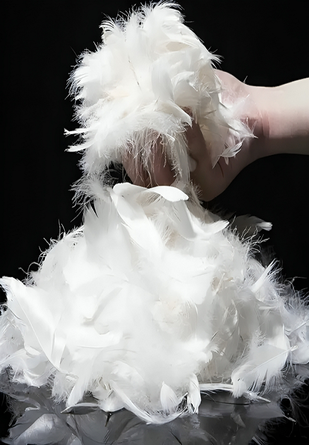 Feather